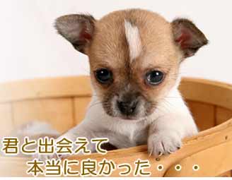 ���̂���